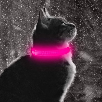 XS LED Dog Collar - Adjustable USB Rechargeable Glowing Pet Collar, Light up Collars for Small Dogs& Cats