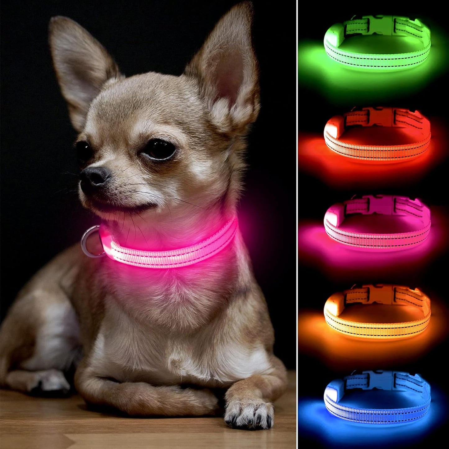 XS LED Dog Collar - Adjustable USB Rechargeable Glowing Pet Collar, Light up Collars for Small Dogs& Cats